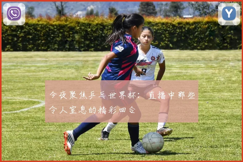 今夜聚焦乒乓世界杯:直播中那些令人窒息的精彩回合