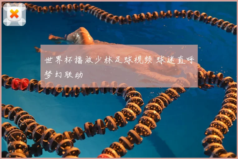 世界杯播放少林足球视频 球迷直呼梦幻联动