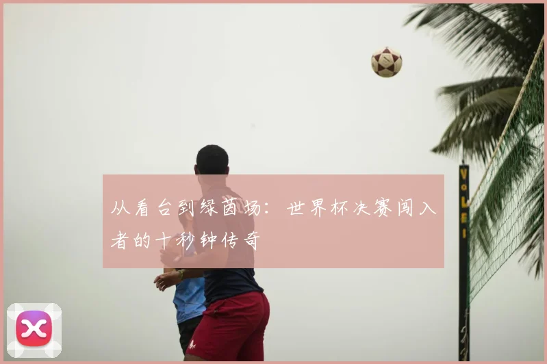 从看台到绿茵场:世界杯决赛闯入者的十秒钟传奇
