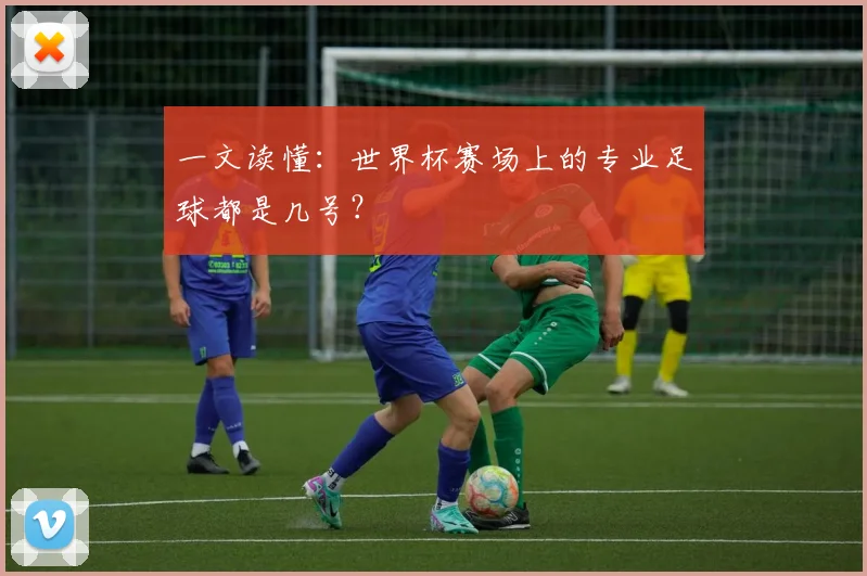 一文读懂：世界杯赛场上的专业足球都是几号？