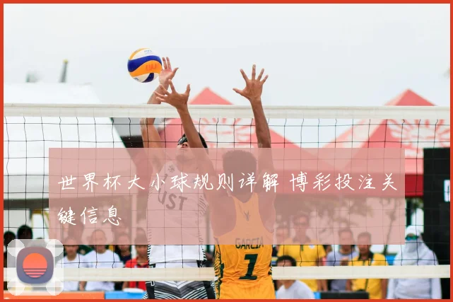 世界杯大小球规则详解 博彩投注关键信息