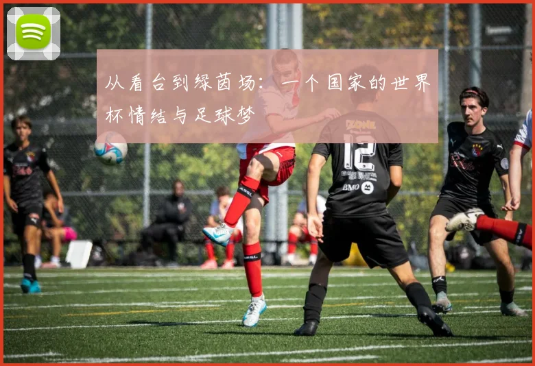 从看台到绿茵场：一个国家的世界杯情结与足球梦