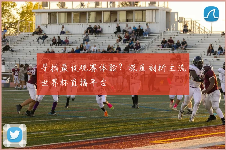 寻找最佳观赛体验？深度剖析主流世界杯直播平台