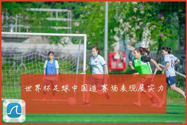 世界杯足球中国造 赛场表现展实力