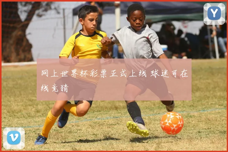 网上世界杯彩票正式上线 球迷可在线竞猜