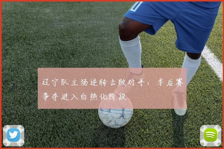 辽宁队主场逆转击败对手，季后赛争夺进入白热化阶段