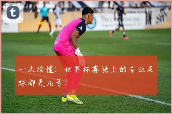 一文读懂：世界杯赛场上的专业足球都是几号？