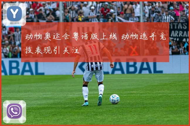 动物奥运会粤语版上线 动物选手竞技表现引关注