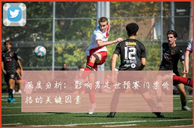 深度分析：影响男足世预赛门票价格的关键因素
