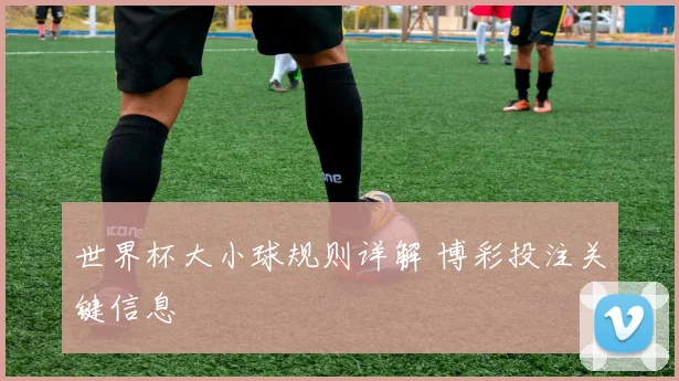 世界杯大小球规则详解 博彩投注关键信息