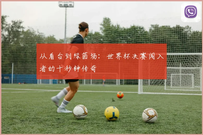 从看台到绿茵场：世界杯决赛闯入者的十秒钟传奇