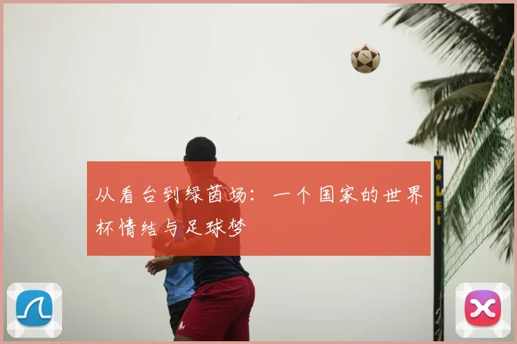 从看台到绿茵场:一个国家的世界杯情结与足球梦