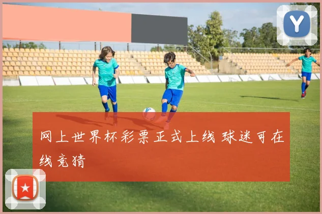 网上世界杯彩票正式上线 球迷可在线竞猜