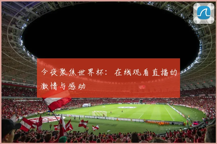 今夜聚焦世界杯：在线观看直播的激情与感动