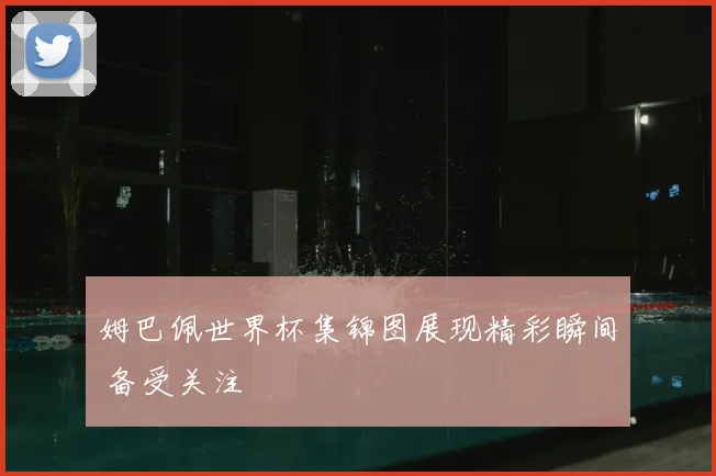 姆巴佩世界杯集锦图展现精彩瞬间 备受关注